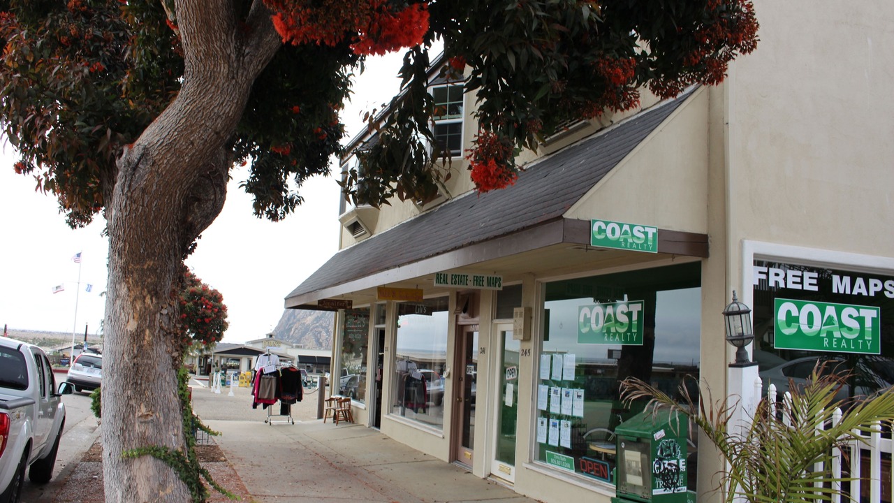 Photo of Others in Morro Bay