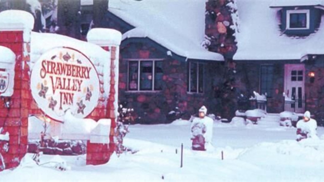 Photo of Outdoor in Mount Shasta