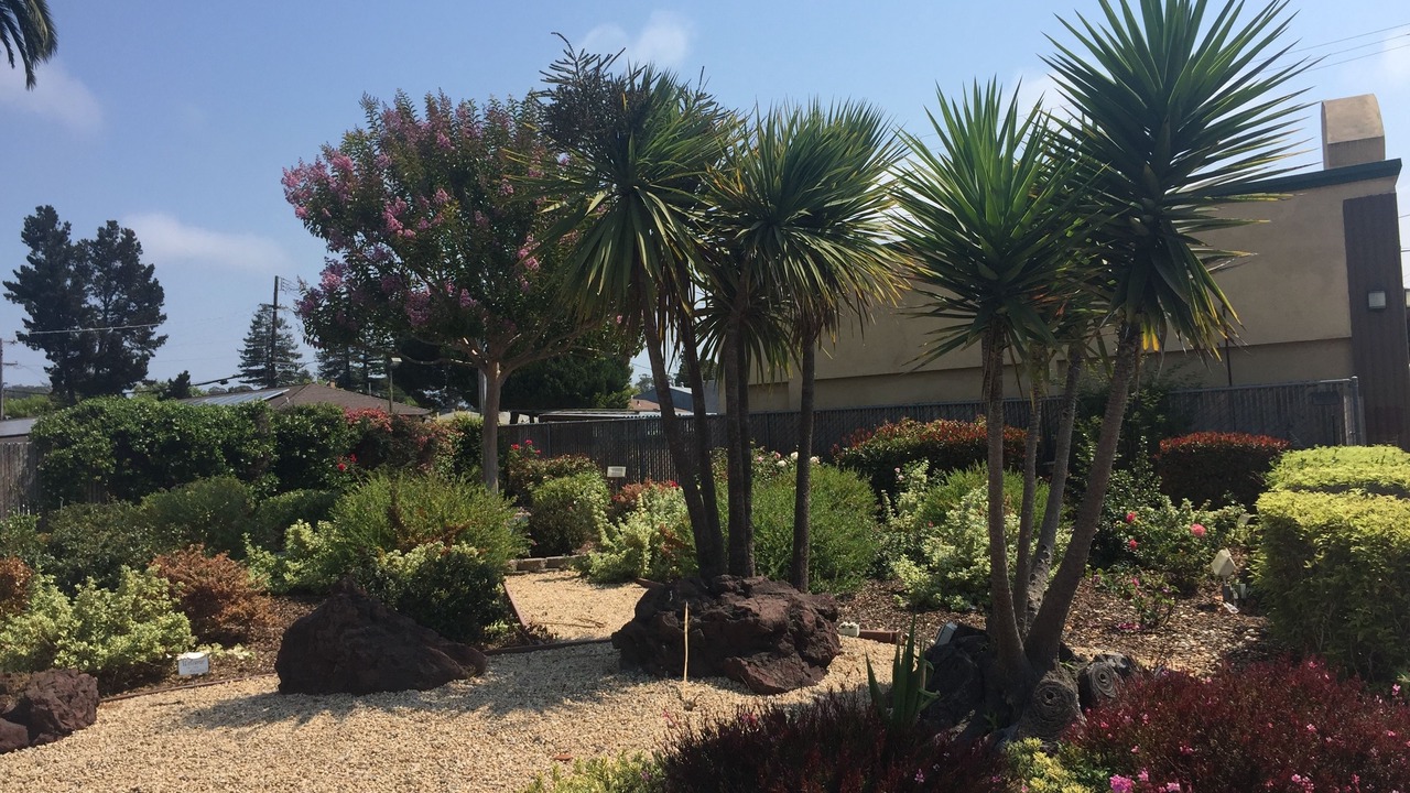 Photo of Outdoor in Eastside Santa Cruz