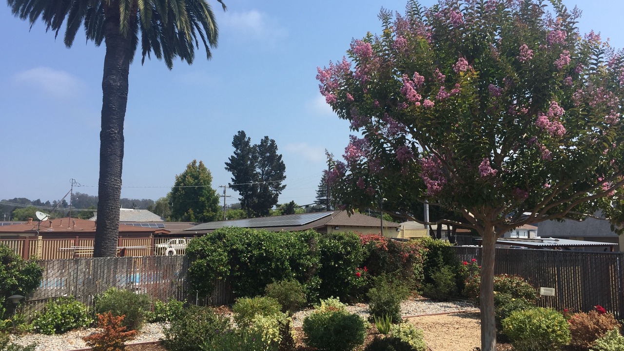 Photo of Outdoor in Eastside Santa Cruz