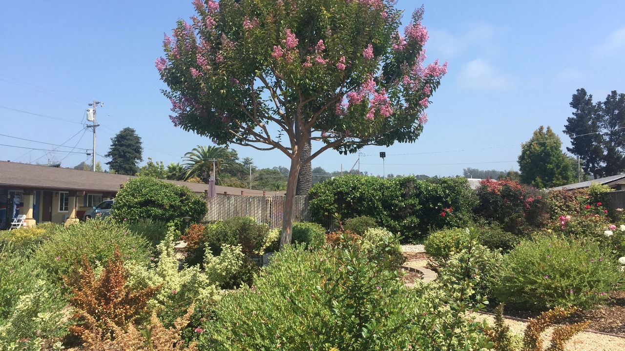 Photo of Outdoor in Eastside Santa Cruz