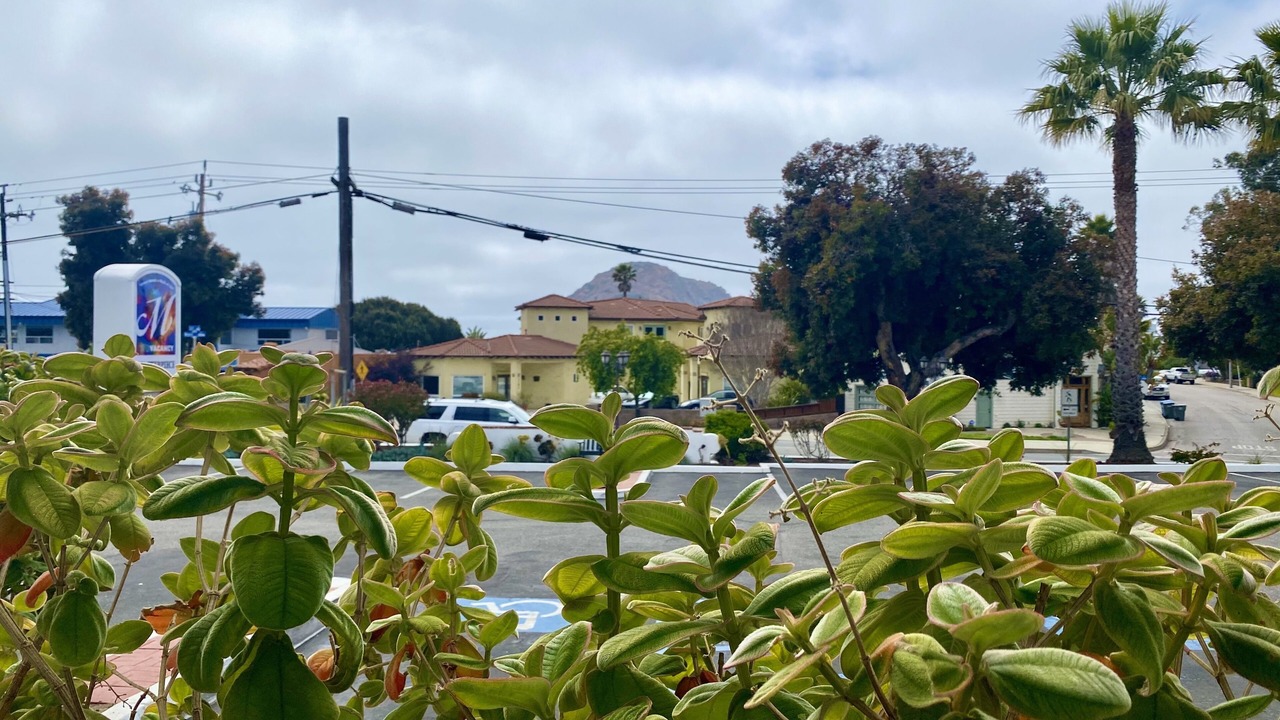 Photo of Others in Morro Bay