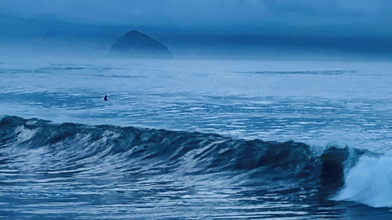 Photo of Others in Morro Bay