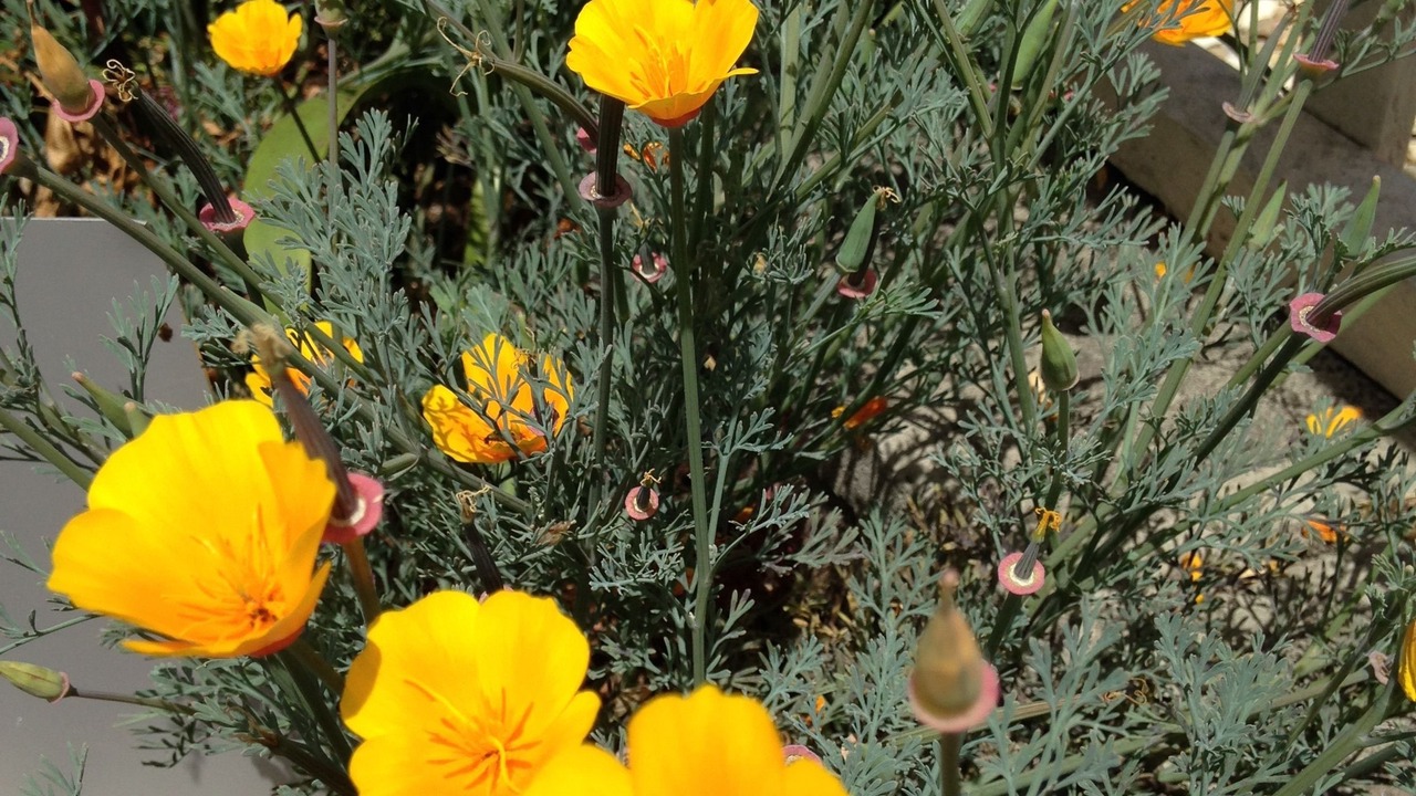 Photo of Outdoor in Morro Bay