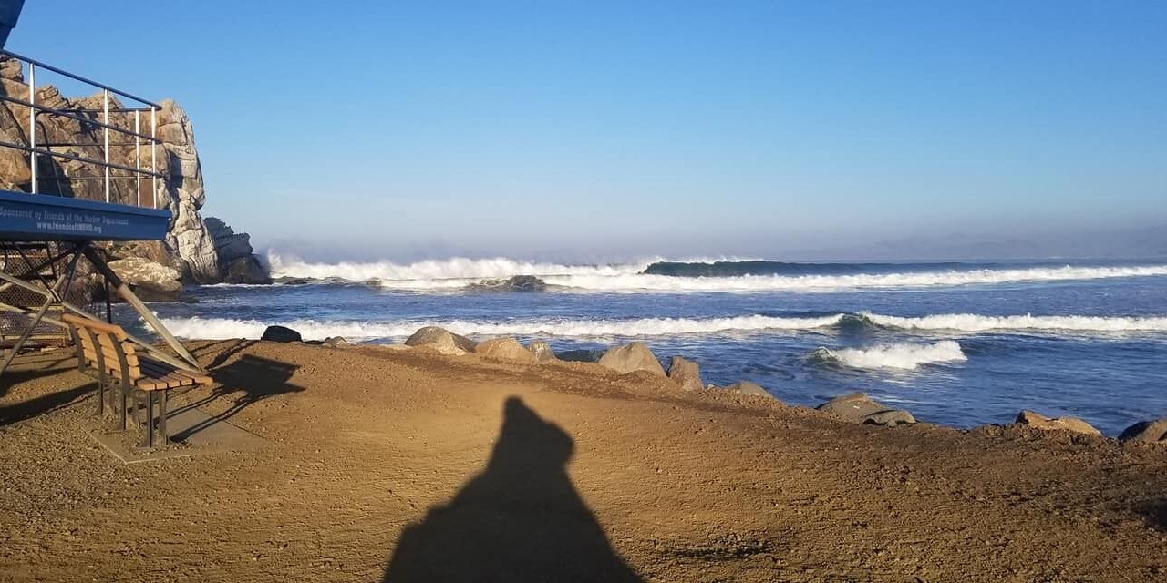 Photo of Others in Morro Bay
