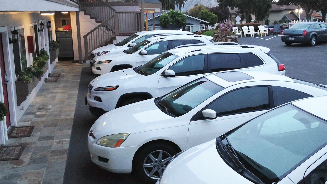 Photo of Others in Morro Bay