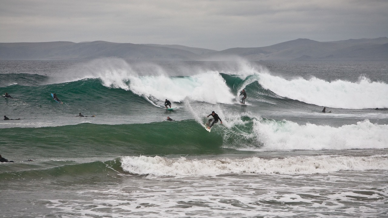 Photo of Others in Morro Bay