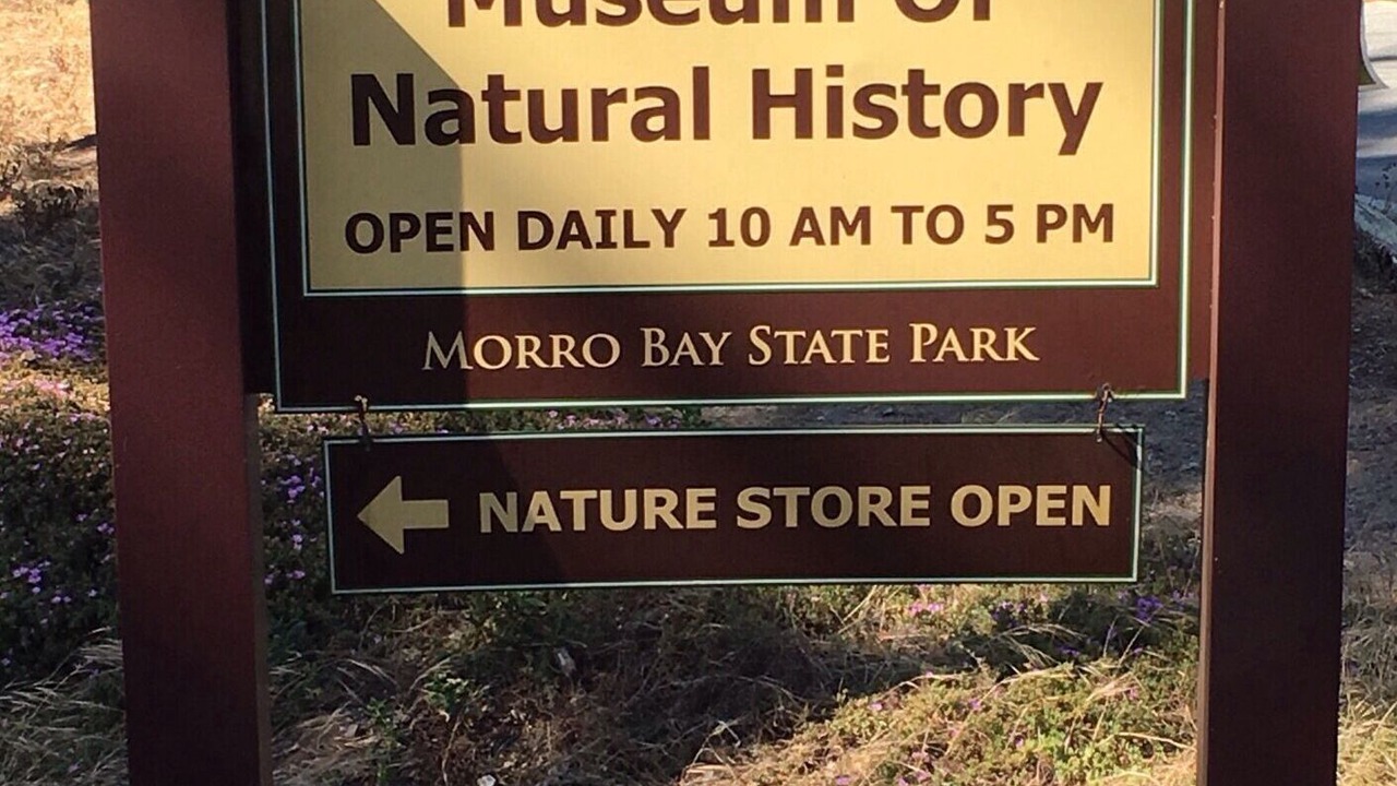 Photo of Outdoor in Morro Bay