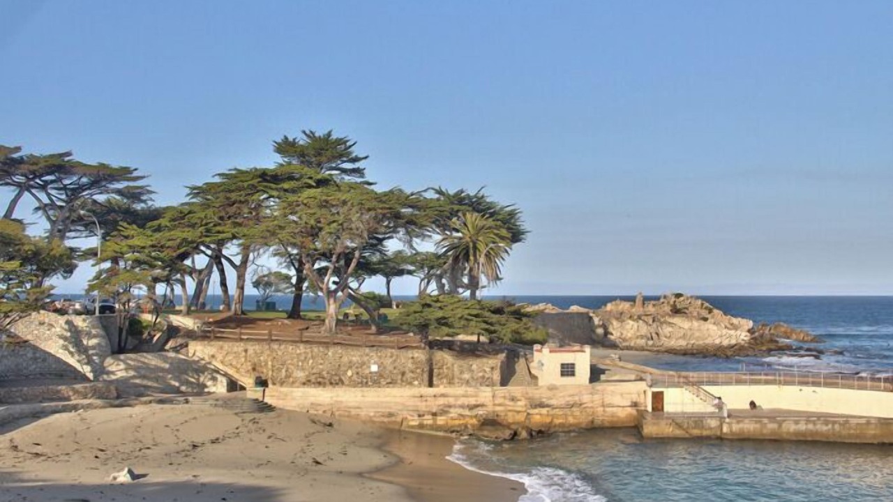 Photo of Others in Monterey