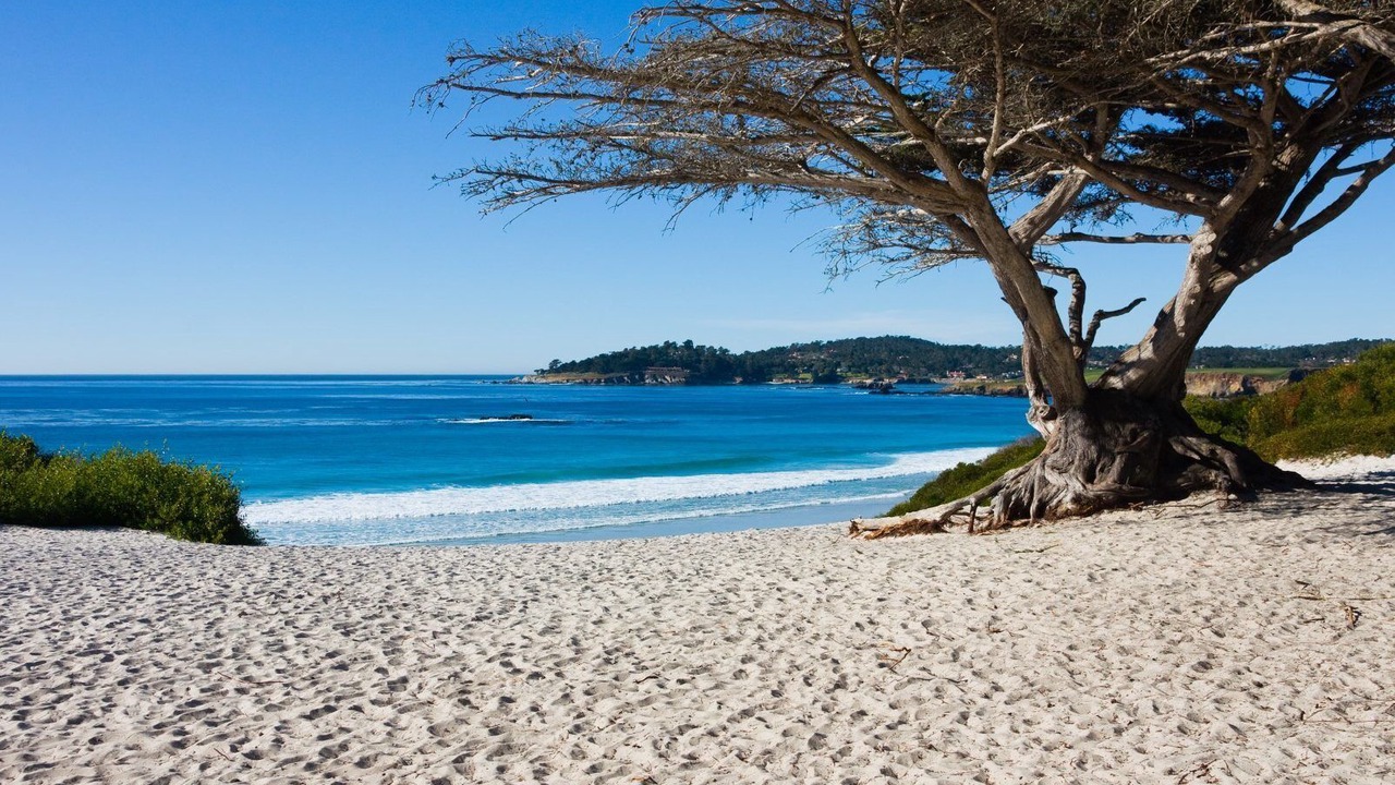 Photo of Others in Monterey
