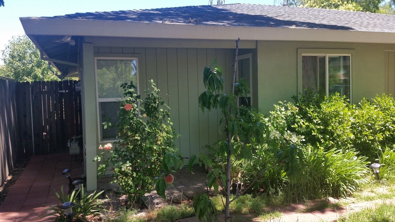 Photo of Outdoor in West Davis Manor
