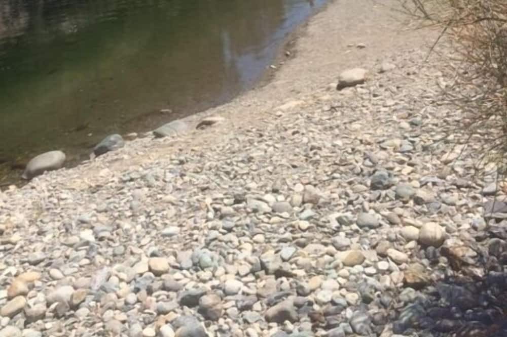 Photo of Others in Lakehead-Lakeshore