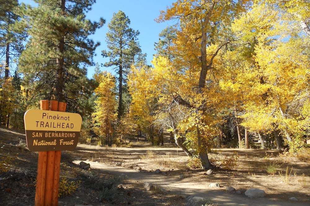 Photo of Outdoor in Fox Farm