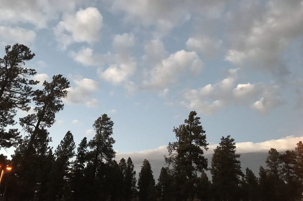 Photo of Others in Tusayan