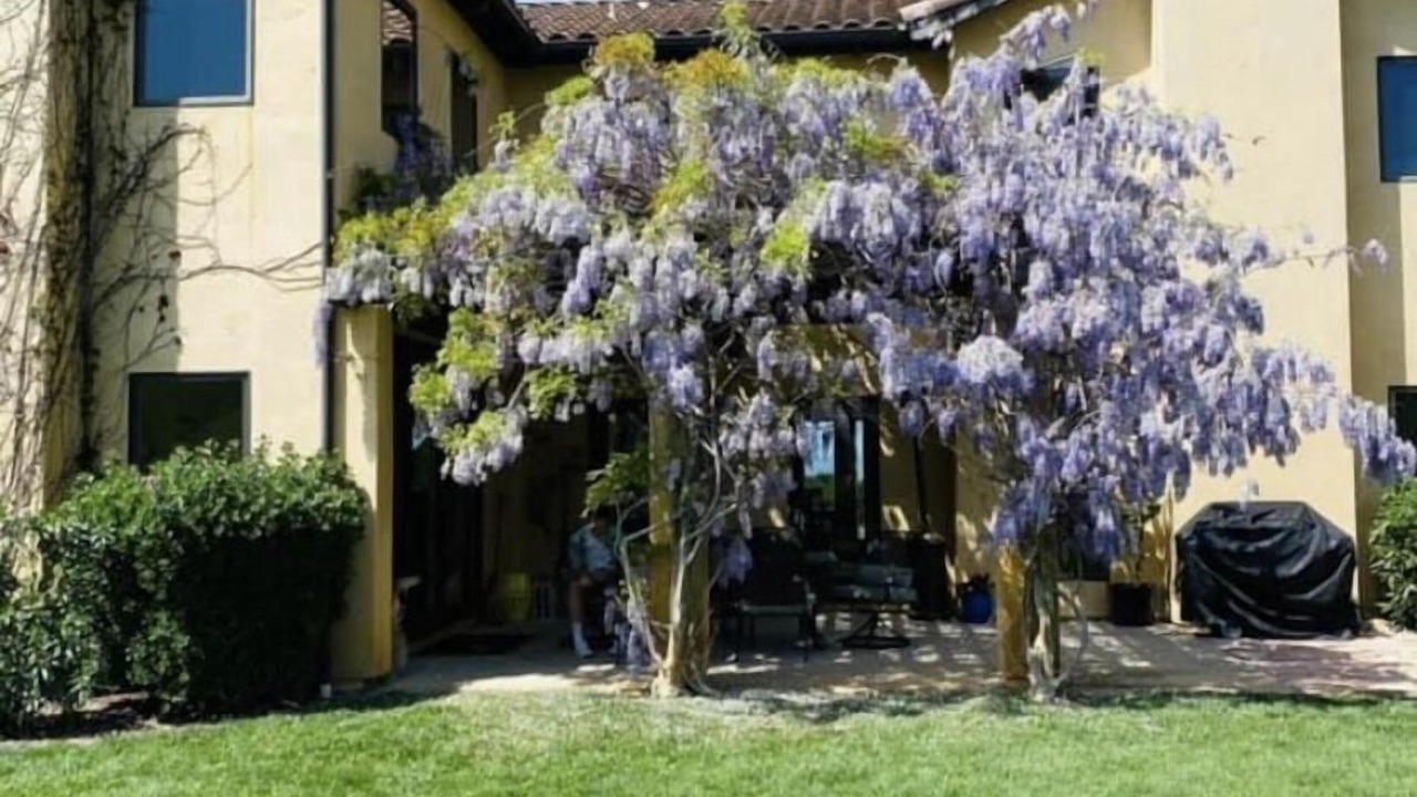 Photo of Outdoor in Arroyo Grande