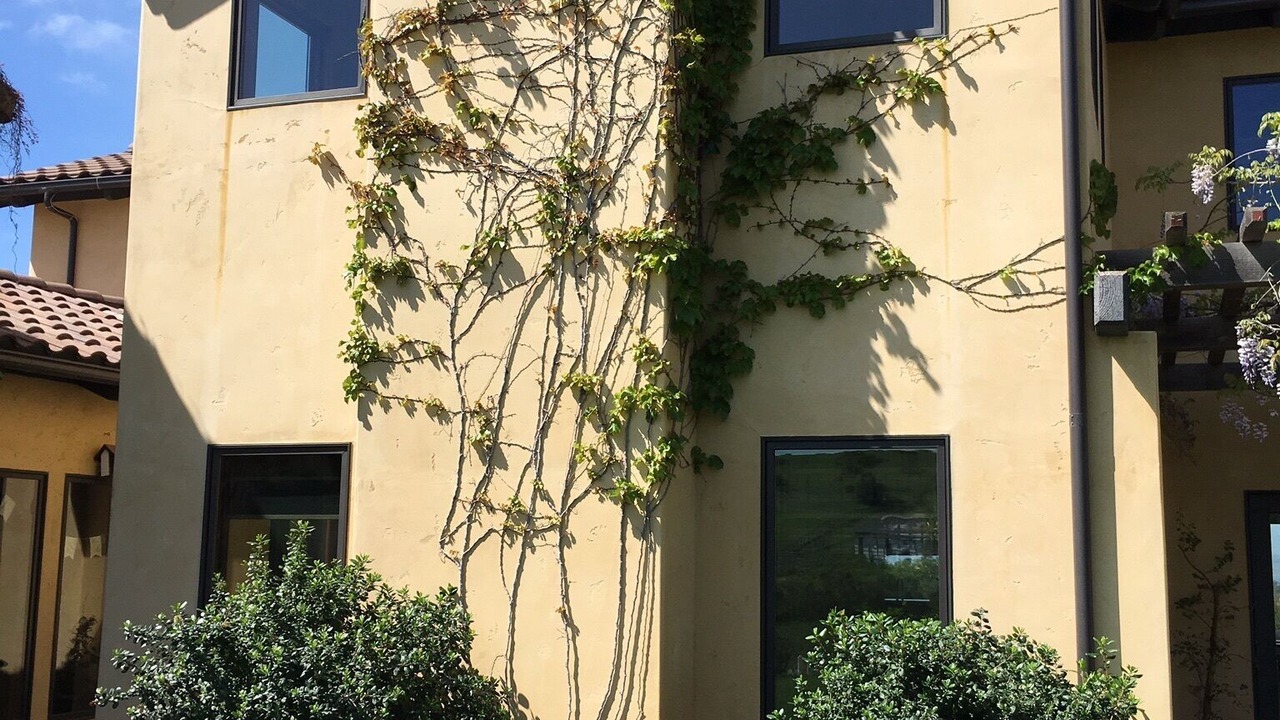 Photo of Outdoor in Arroyo Grande