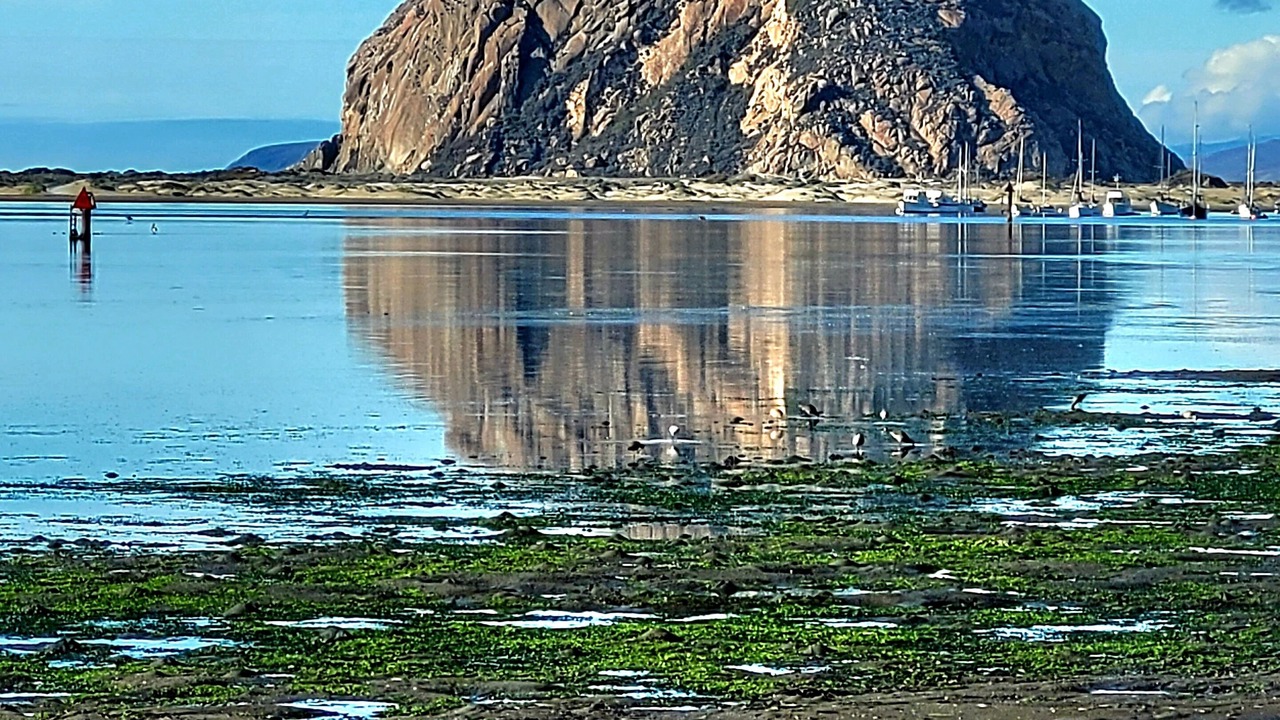 Photo of Others in Baywood-Los Osos