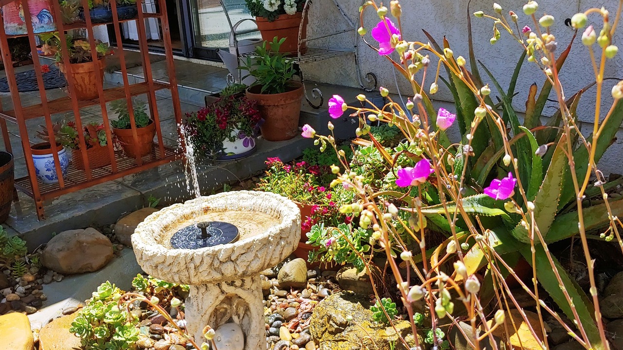 Photo of Outdoor in Nipomo