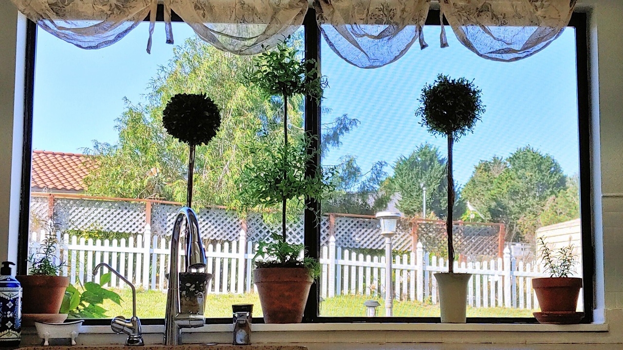 Photo of Outdoor in Nipomo