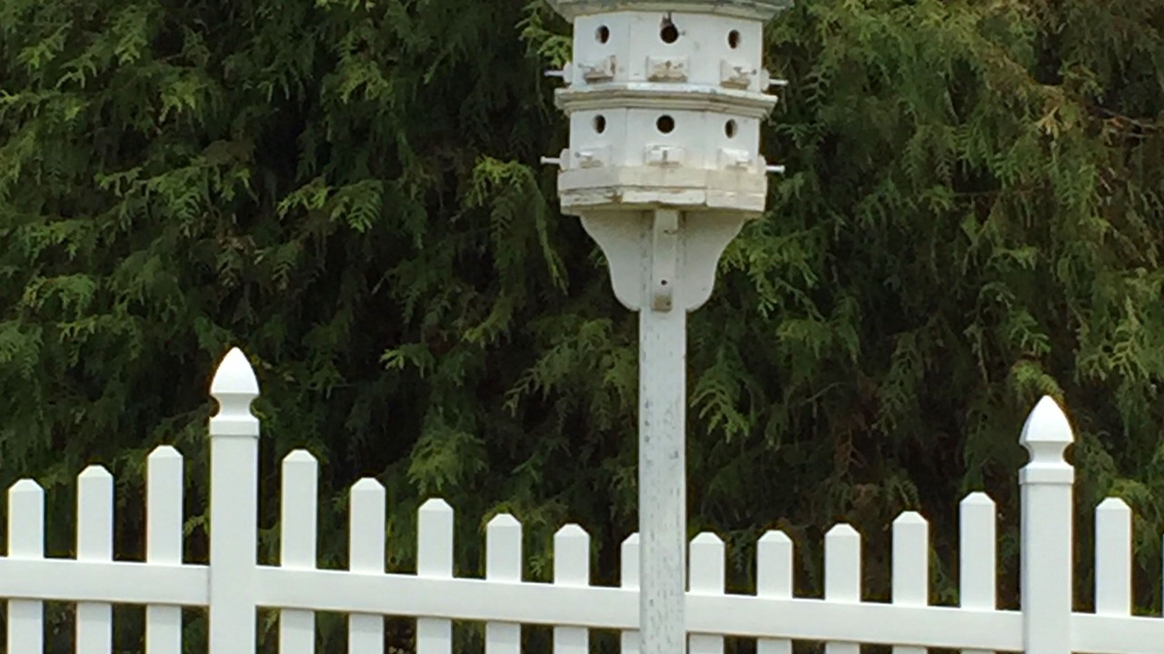 Photo of Outdoor in Nipomo
