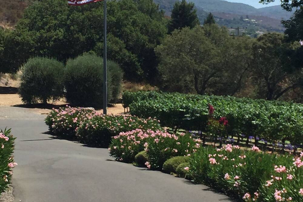 Photo of Others in Napa
