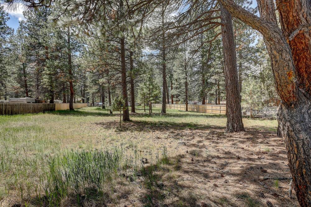 Photo of Others in Deschutes River Woods