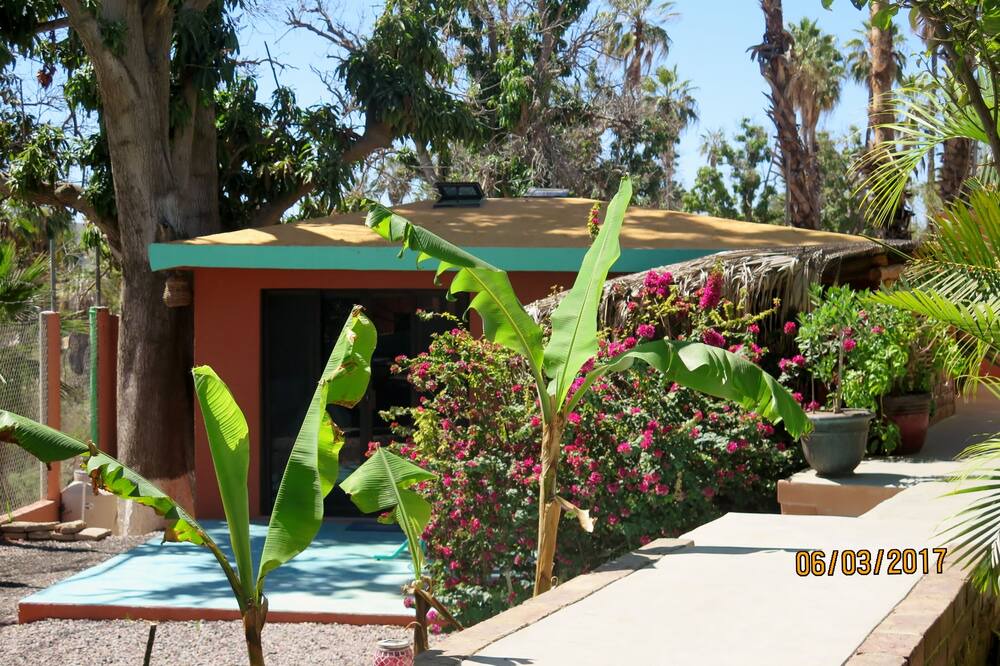Photo of Outdoor in Todos Santos