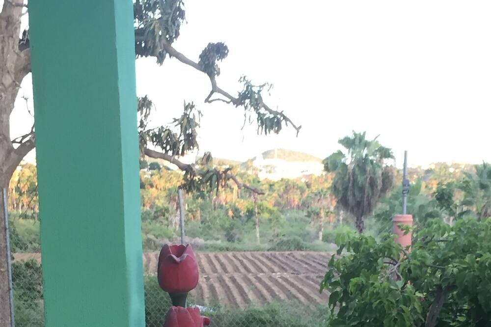 Photo of Outdoor in Todos Santos