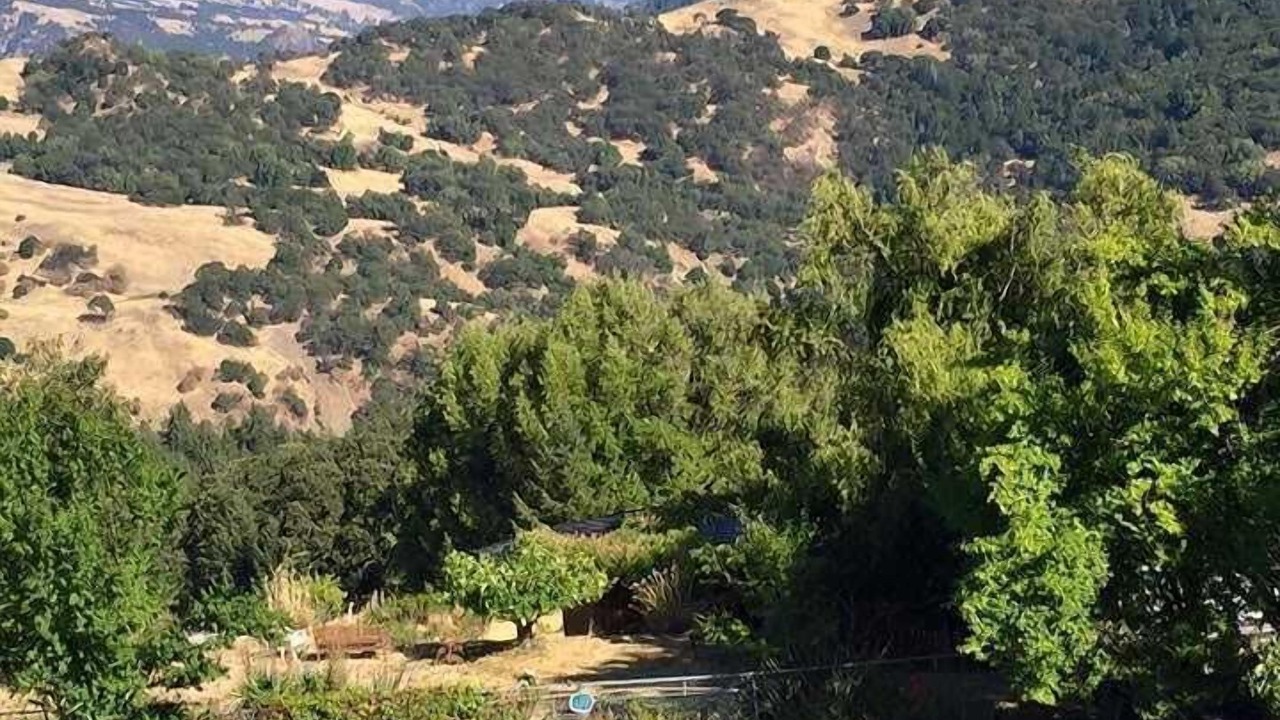Photo of Outdoor in Alderpoint
