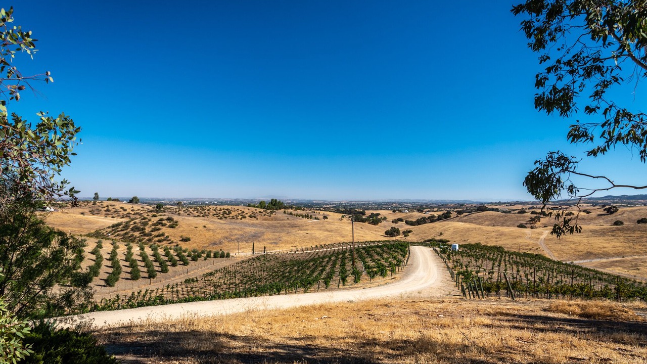 Photo of Outdoor in Paso Robles