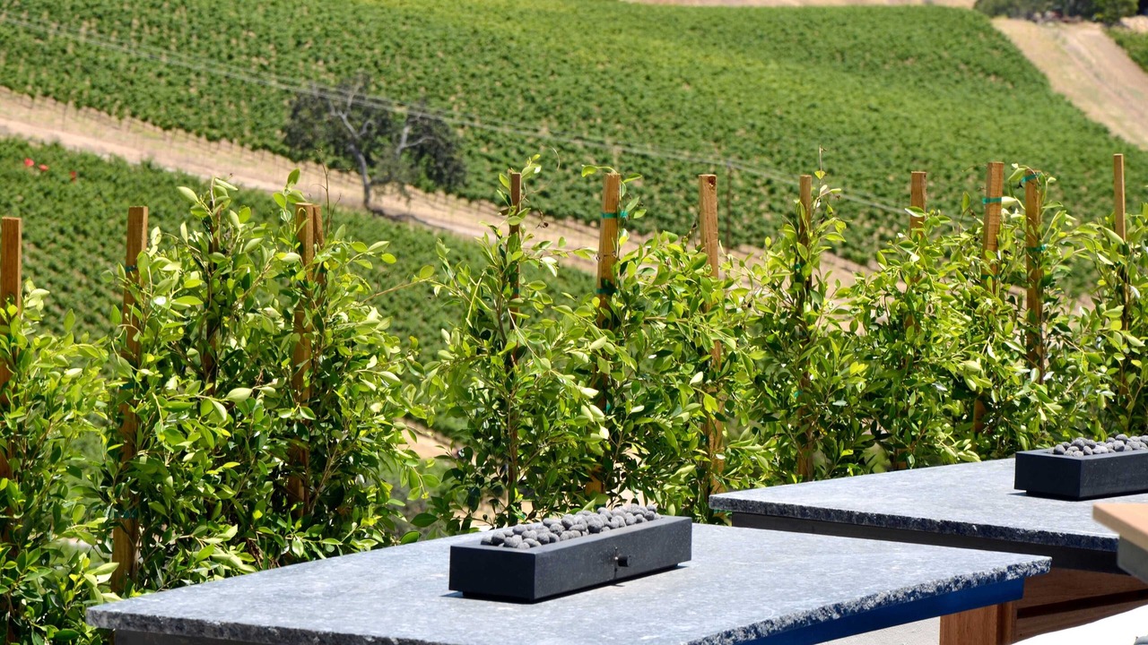 Photo of Bedroom in Paso Robles