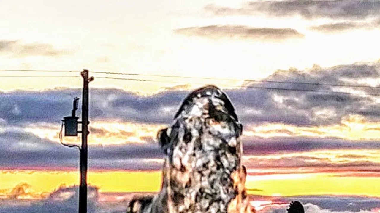 Photo of Others in Paso Robles