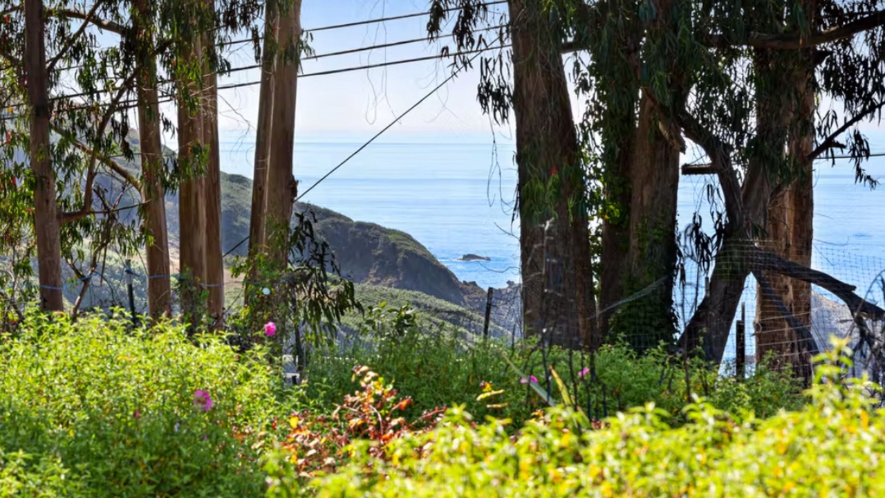 Photo of Outdoor in Albion