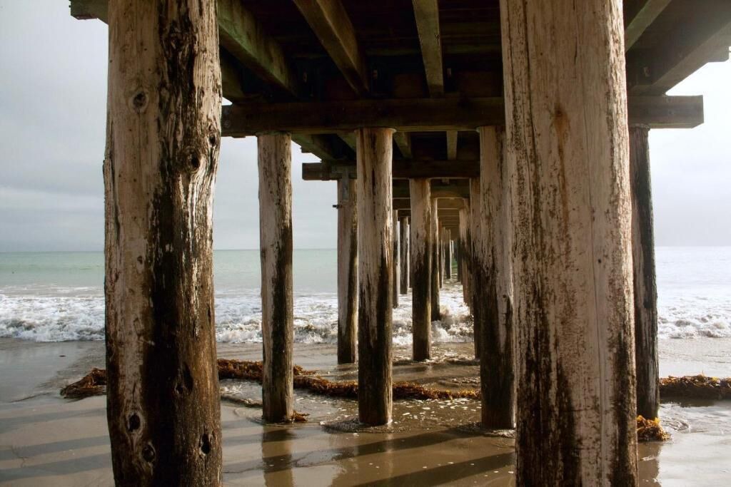 Photo of Others in Cayucos