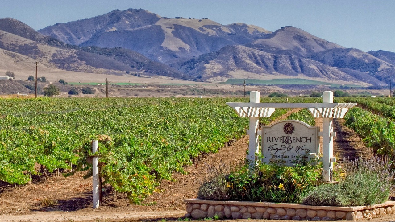 Photo of Others in Santa Maria