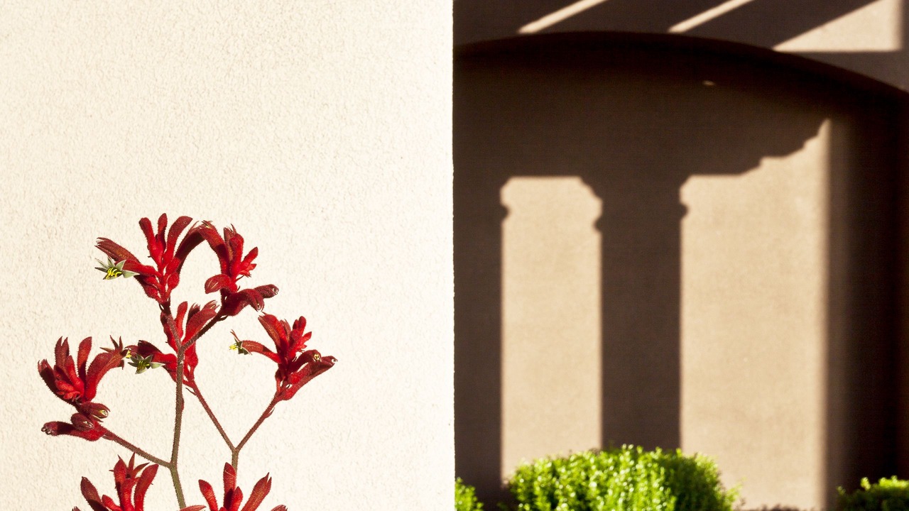 Photo of Outdoor in Arroyo Grande