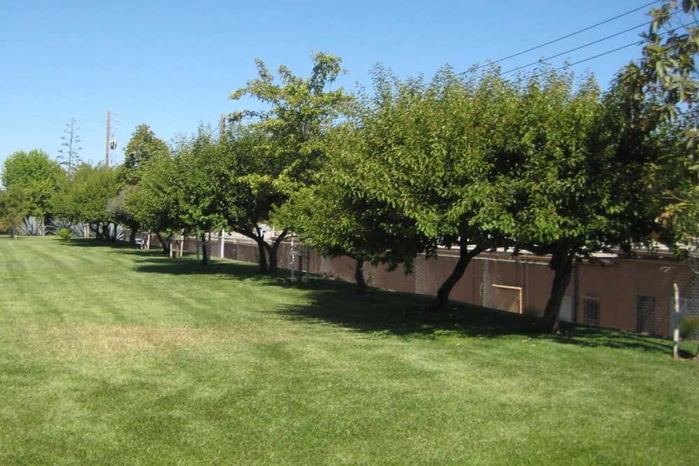 Photo of Outdoor in Santa Maria
