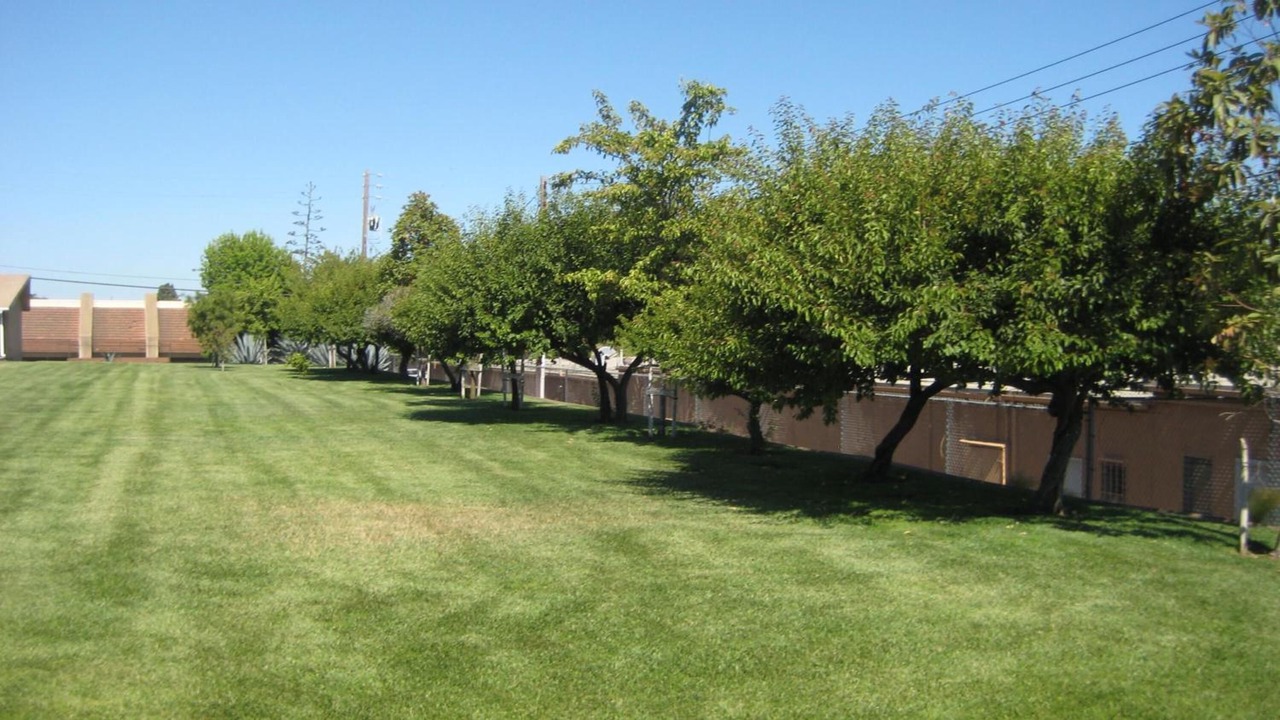Photo of Outdoor in Santa Maria