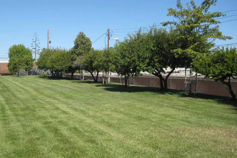 Photo of Outdoor in Santa Maria