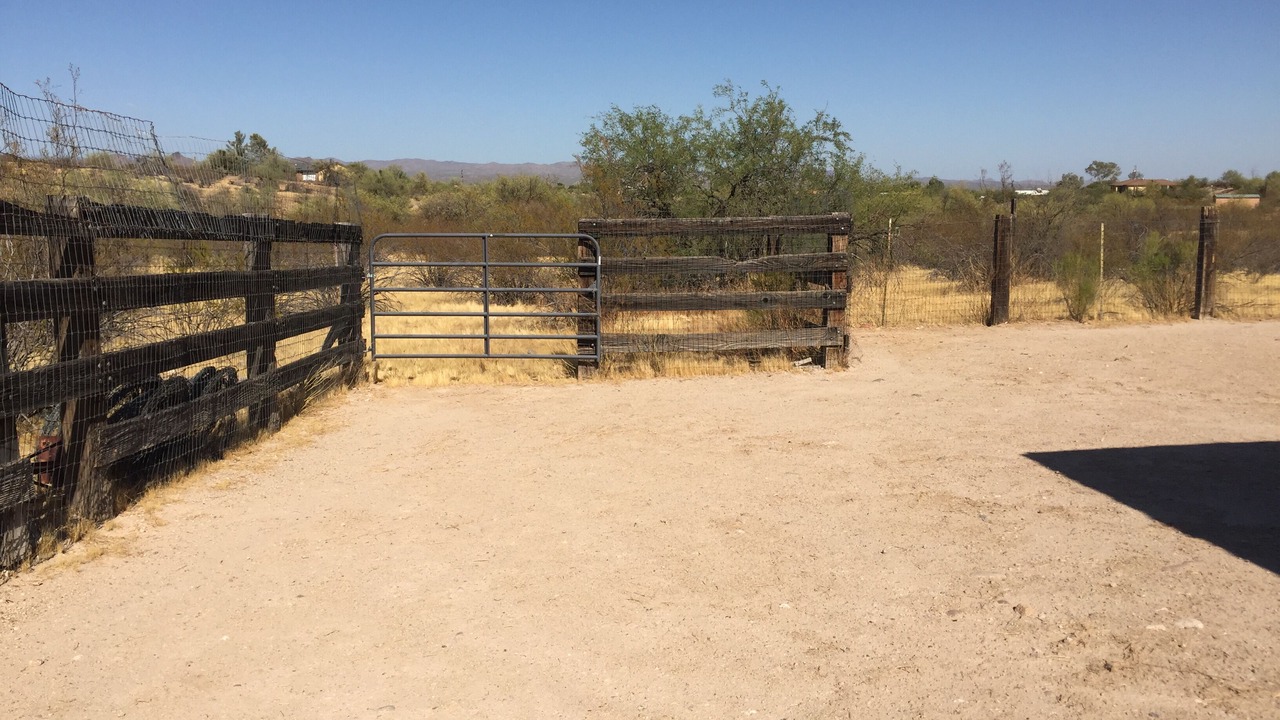 Photo of Others in Wickenburg