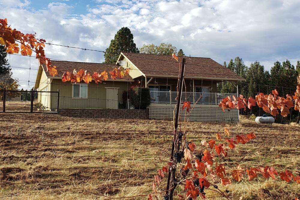 Photo of Outdoor in Kelseyville