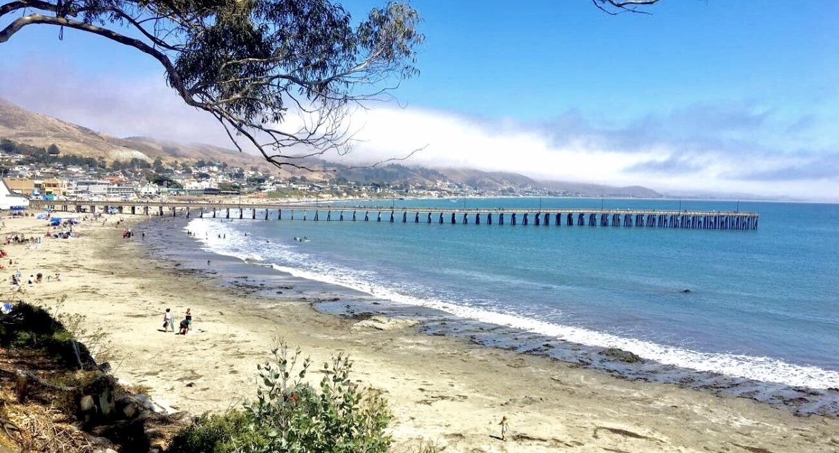 Photo of Others in Cayucos