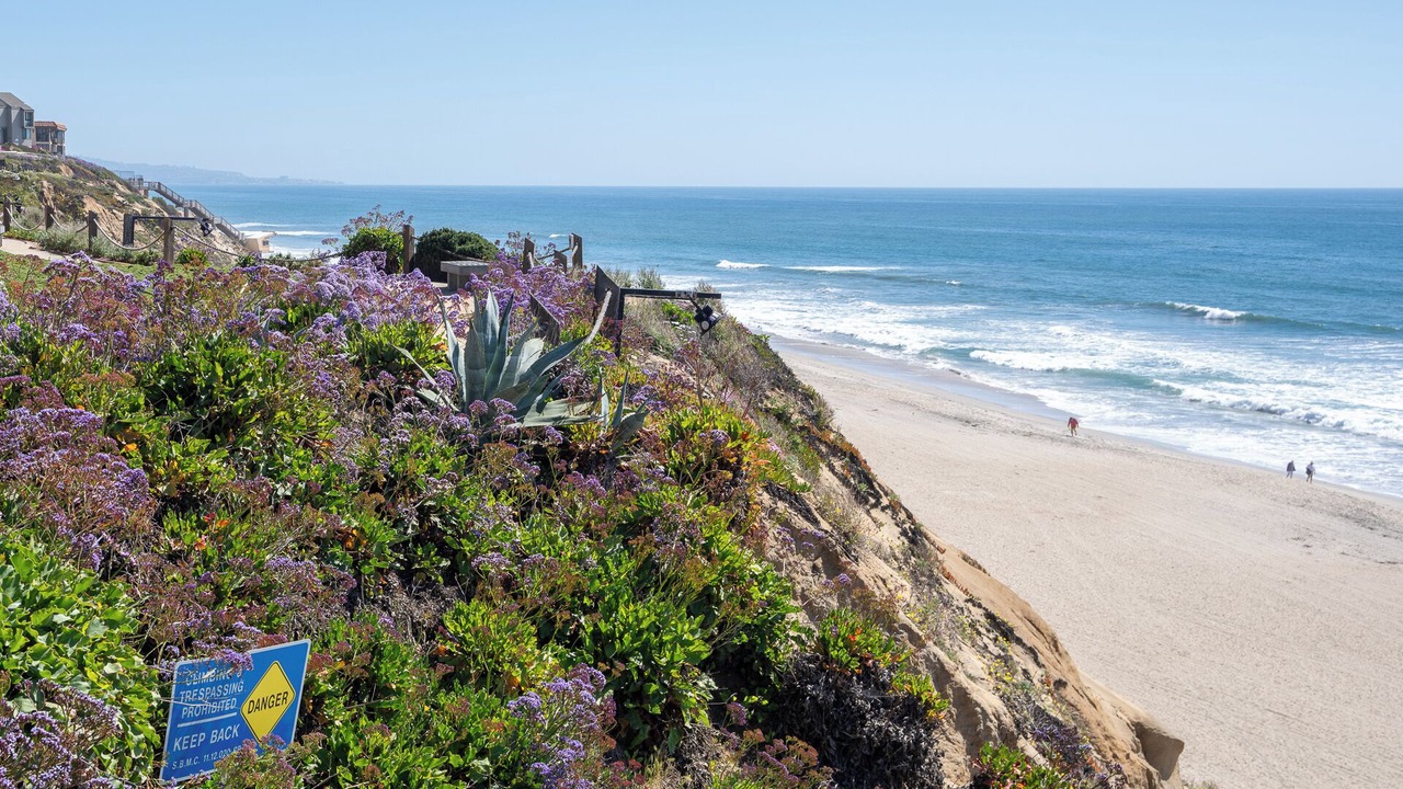 Photo of Others in Solana Beach