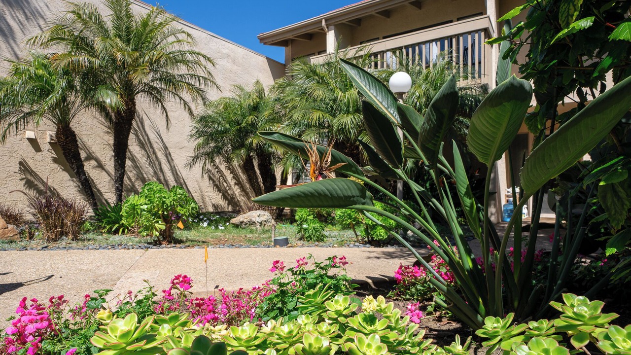 Photo of Outdoor in Solana Beach