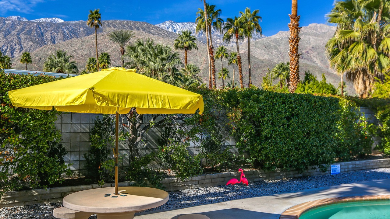 Photo of Outdoor in Twin Palms