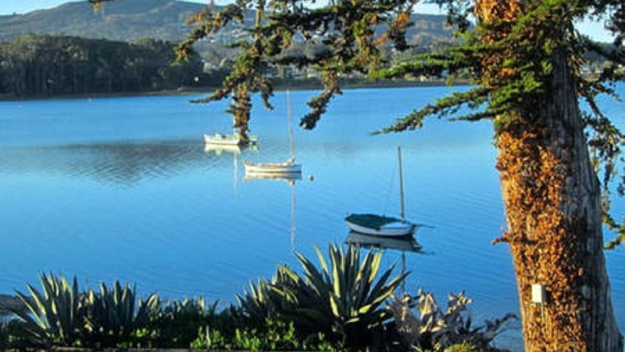 Photo of Others in Baywood Park