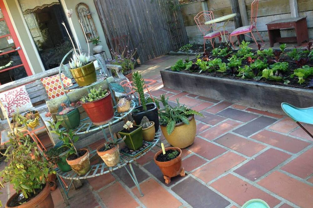 Photo of Others in Del Rey Oaks