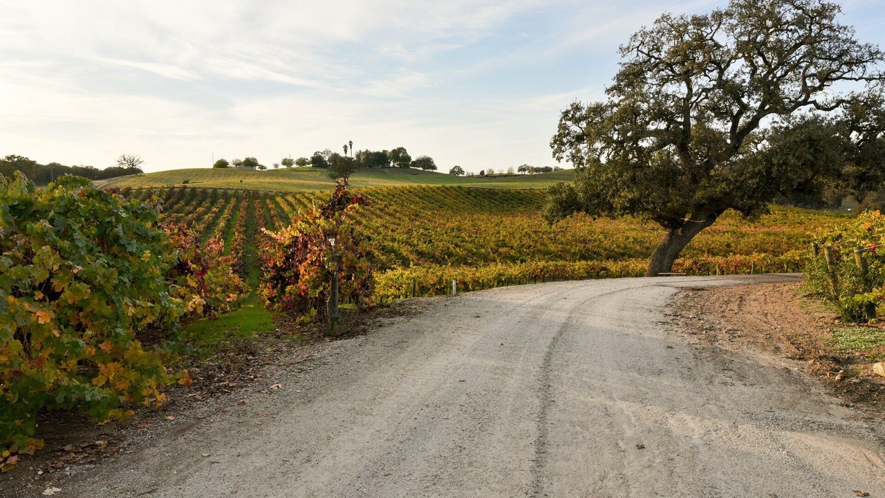 Photo of Outdoor in Paso Robles