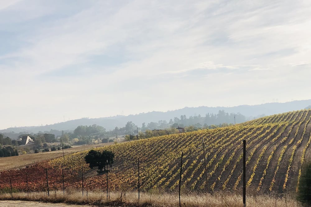 Photo of Others in San Luis Obispo