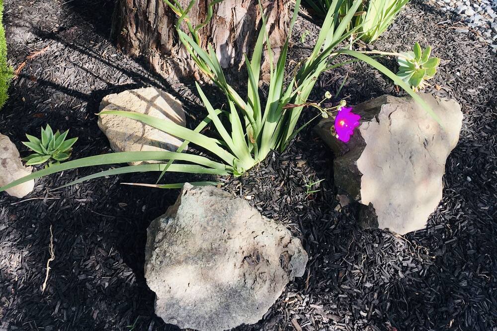 Photo of Outdoor in Martinez